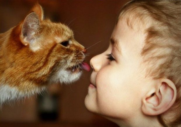 Коти допомагають дітям з аутизмом