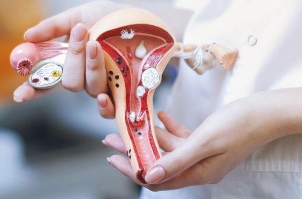 Шийка матки - це важлива частина жіночої репродуктивної системи, яка з'єднується з маткою шляхом, що веде до піхви. Проблеми з шийкою матки можуть мат