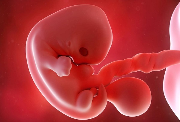 Ембріон був виявлений в печінці жінки після того, як їй зробили УЗД і з’ясувалося, що у неї позаматкова вагітність. Надзвичайно рідкісний випадок був 
