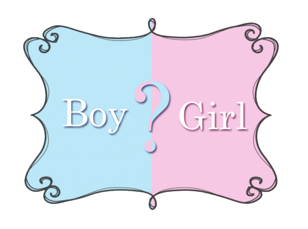 0242_boy_or_gerl_4.png (253.38 Kb)