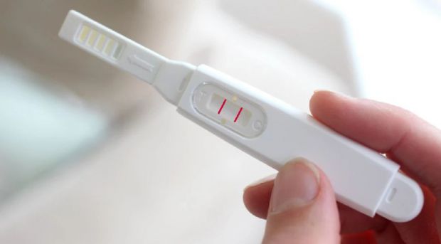 Тести на вагітність визначають наявність у сечі чи крові жінки хоріонічного гонадотропіну людини (ХГЛ). Цей гормон починає активно вироблятися оболонк