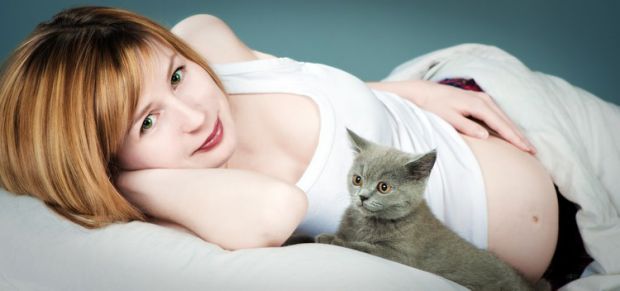 0872_la-toxoplasmose.jpg (23.6 Kb)