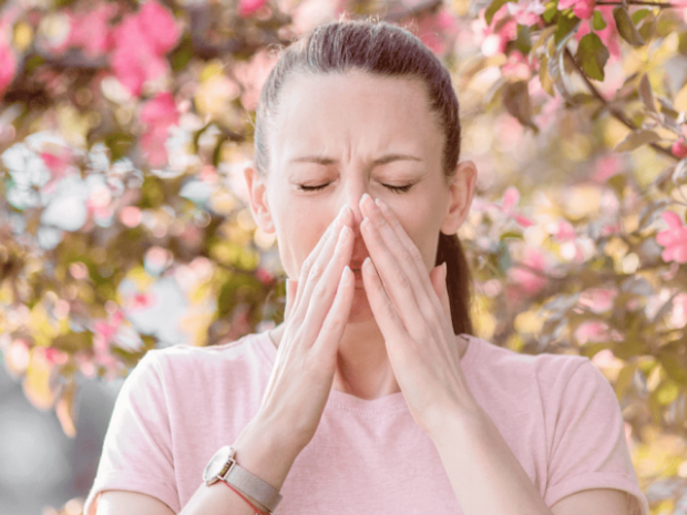 Алергія на пилок - це досить поширена проблема, з якою стикаються мільйони людей по всьому світу. Ця реакція на пилок рослин може суттєво погіршити як