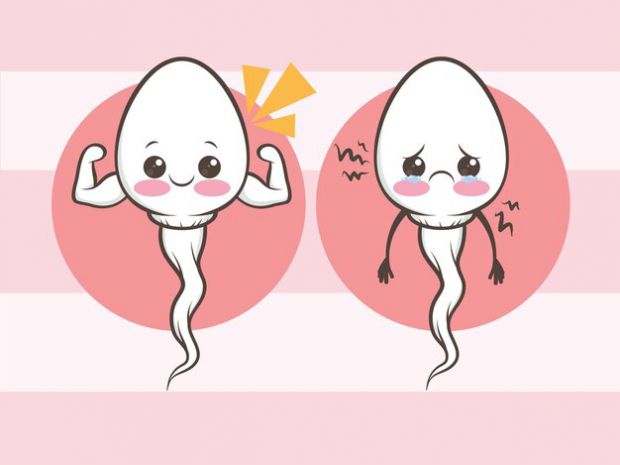 1170_cute-healthy-and-unhealthy-sperm-cells-cartoon_296684-335.jpg (24.51 Kb)