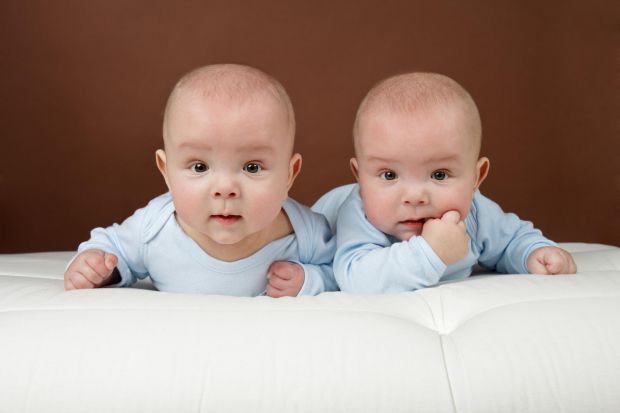 1187_twins.jpg (20. Kb)