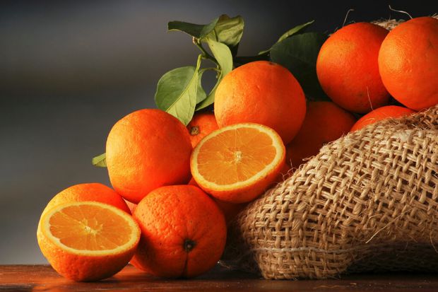 1250_iguana-apelsin-2.jpg (44.18 Kb)