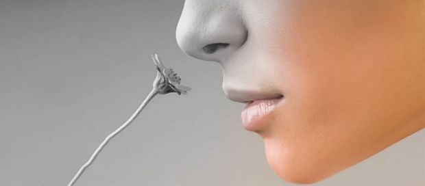 Якщо ви втратите нюх, вам не вистачатиме не лише різних запахів. Без гарного нюху ви можете виявити, що їжа на смак м’яка, і вам важко відрізнити різн