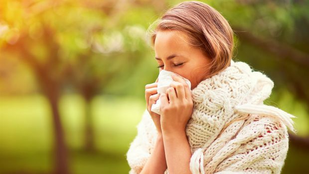 У вас закладає ніс протягом багатьох років. Це триває більше, ніж кілька днів, тож ви знаєте, що це не застуда. Але що це: синусит чи алергія?