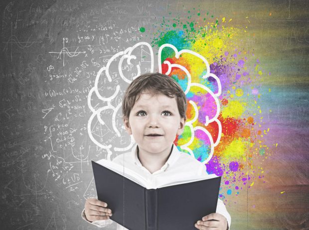 Області мозку, які є найбільш важливими для навчання, це ті, що беруть участь у пам’яті. Інші важливі області включають ті,що задіяні в обробці інформ