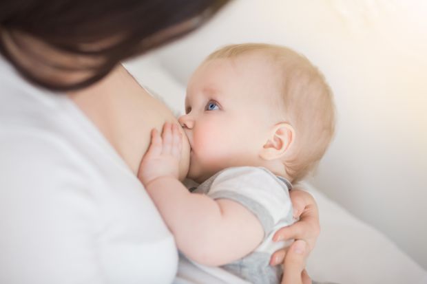 Учені вирішили, що материнське молоко впливає на поведінку дитини в майбутньому. Команда американських фахівців в області поведінки й медицини вирішил