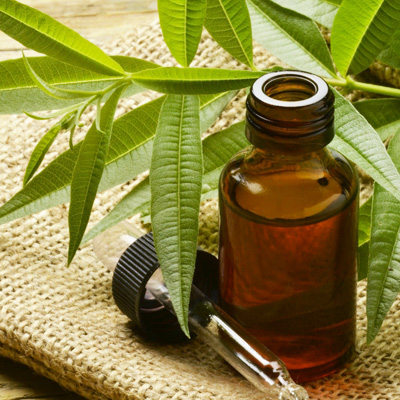 Олія чайного дерева - одне з найбільш популярних природних засобів для догляду за шкірою. Ця олія виготовляється з листя чайного дерева, яке росте в А