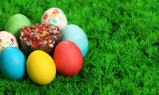 3093_holidays_easter_easter_and_eggs_on_the_grass_020690_29.jpg (52.29 Kb)