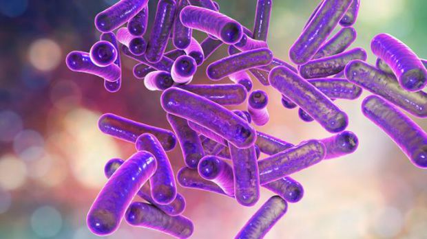 Згідно з даними групи корейських дослідників, люди з синдромом подразненого кишечника (СПК) мають меншу різноманітність бактерій у кишечнику, ніж здор
