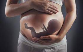 Плацента – тимчасовий орган, який утворюється під час вагітності для того, щоб підтримувати зв'язок між організмом жінки та плодом. Вона фільтрує кров