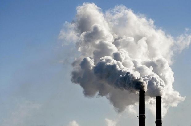 Забруднення повітря – це проблема не лише для легенів. Все частіше дослідження свідчать про те, що забруднення повітря може впливати на поведінкові пр