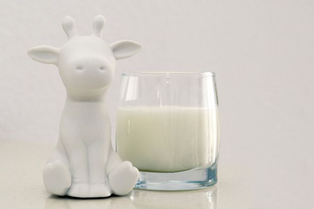 Алергія на білок коров’ячого молока є найпоширенішою алергією, яка спостерігається у дітей грудного віку. Алергія на коров’яче молоко виникає, коли ор