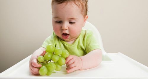 Думка про те, що ваша дитина вдавиться їжею, викликає жах. Немовлята починають їсти м’яку пластичну їжу, і протягом років у малюка розвивається їх зда