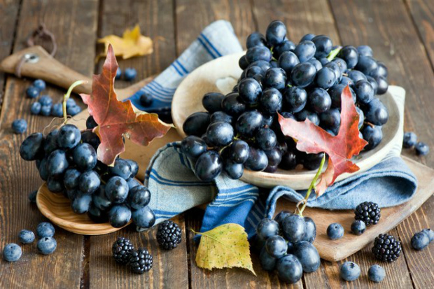 38db1bc96ddc15454d1c74168ec4a6ee_7021163_grapes_berries_blueberries_leaves_autumn.jpg (173.41 Kb)