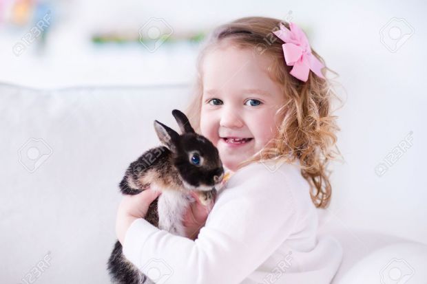 41727763-child-playing-with-a-real-rabbit-kids-play-with-pets-little-stock-photo.jpg (25.31 Kb)