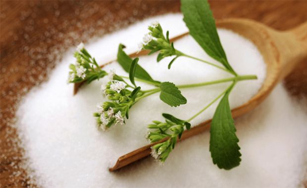 Стевія — це штучний підсолоджувач, виготовлений із листя рослини стевія ребаудіана. Він солодший за цукор, тому для підсолоджування їжі його потрібно 