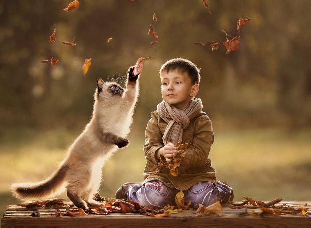 67_animals___cats_child_and_cat_playing_together_094201_.jpg (41.38 Kb)