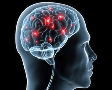 Склероз розвивається через проникнення в тканини мозку людини вірусу Епштейна — Барр. 