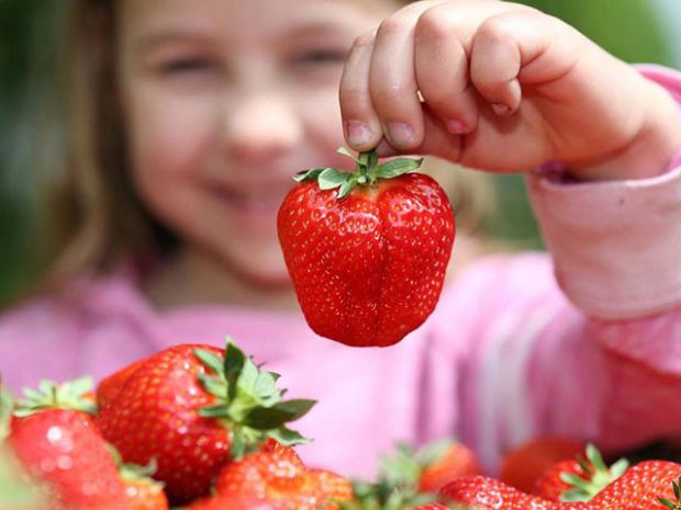 Незважаючи на всі свої корисні властивості, полуниця все ж неоднозначна ягода. Алергія – це не єдина небезпека для дитини, яка криється в полуниці.