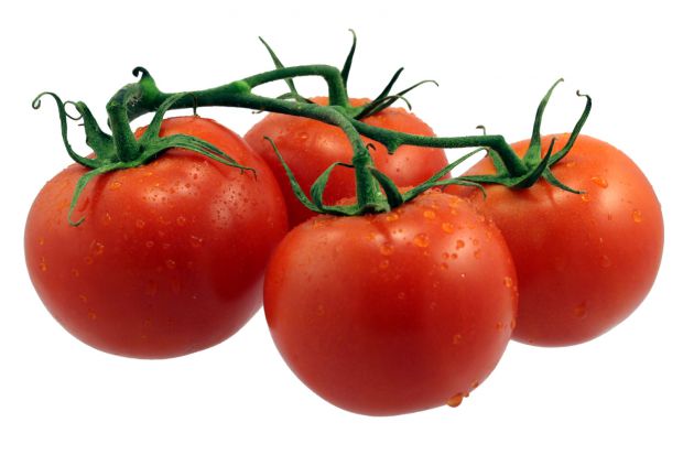 6918_tomatoes.jpg (29.13 Kb)