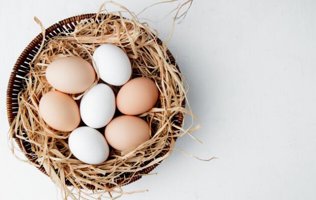 Чи знаєте ви, що яйця є однією з найпоширеніших причин харчової алергії? Для людей з алергією на яйця важливо уникати яєць і продуктів, що містять яйц