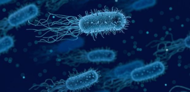 Бактерії, що викликають захворювання пародонту, знижують захист ротової порожнини та посилюють ріст вірусів.