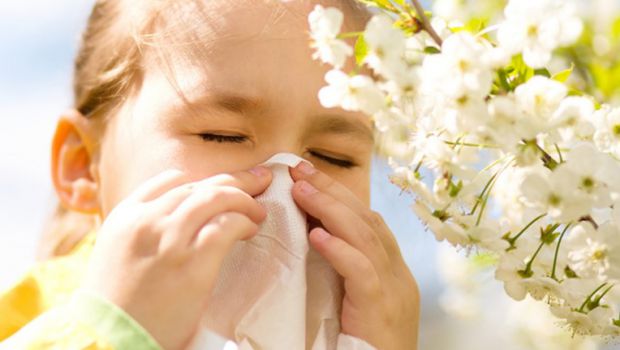 Алергійну реакцію викликає фактично все, чим ми дихаємо, що їмо, що нас оточує. Це в першу чергу пилок рослин, домашній пил, лікарські та препарати по