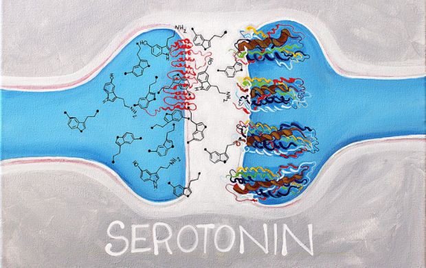 7426_serotonin.jpg (.96 Kb)