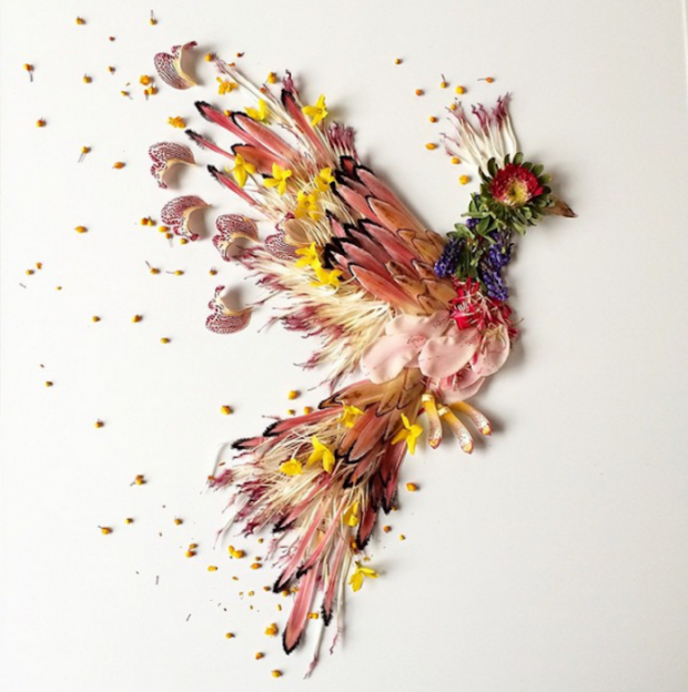 7623_exploding-flowers-3.png (511.33 Kb)