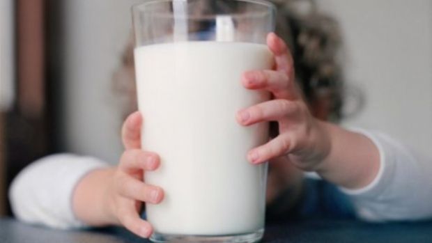 Коров'яче молоко є одним з найпоширеніших напоїв у світі і є важливим джерелом багатьох поживних речовин, які сприяють здоровому зростанню та розвитку