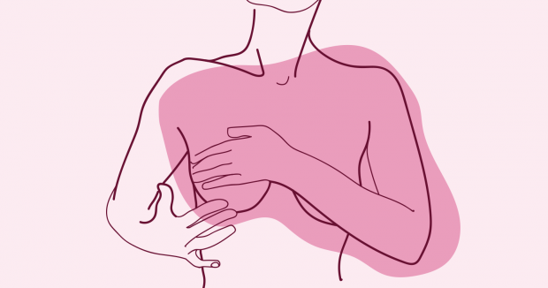 Кожна молочна залоза містить ряд молочних проток, які складають частину залозистої тканини молочної залози. Ці трубки проходять від часточок грудей, щ