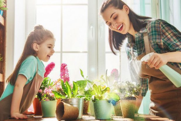 5 рослин, які варто поставити у дитячій кімнаті