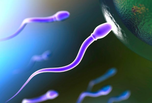 Під кількістю сперматозоїдів розуміється кількість сперматозоїдів на мілілітр сперми. Вимірювання кількості сперматозоїдів зазвичай є частиною аналізу