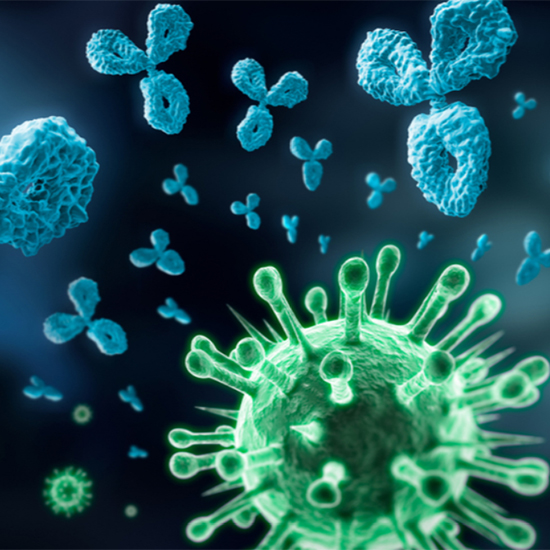 Вакцина від коронавірусу, створена за новою біотехнологією, з’явилася в США. 