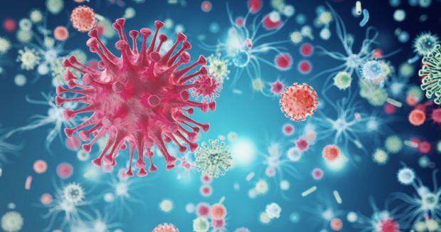 Коінфекція SARS-CoV-2 і вірусу грипу А не змінює ні траєкторію, ні тяжкість вірусу грипу А, незалежно від часу. Але якщо господар спочатку заразиться 