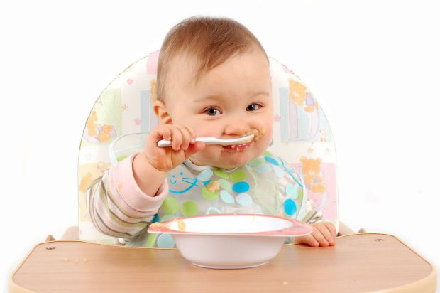 baby_food_recipes1.jpg (23.95 Kb)