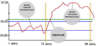 bazalnaia-temperatura-priznak-beremennosti.gif (13.58 Kb)
