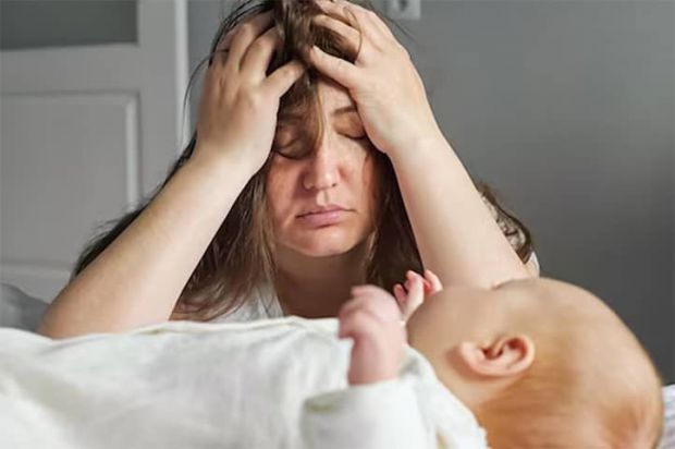 0003_2.jpg (25.39 Kb)