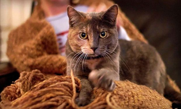 0156_1.jpg (37.7 Kb)