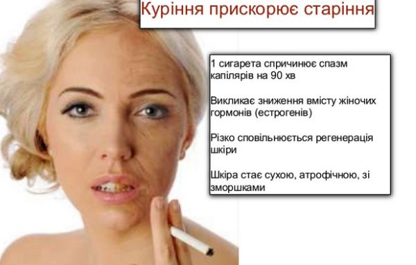 0436_862a568-01.jpg (30.67 Kb)