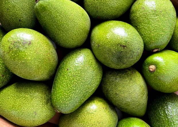 ���� ���� ����� ���� ����������� �� ������������ � �������. ֳ ����� ������ ������ ������ �������� ������� �, ���������, ������������ �� ���� � ���