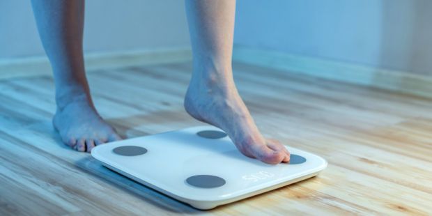 0794_02.jpg (20.55 Kb)