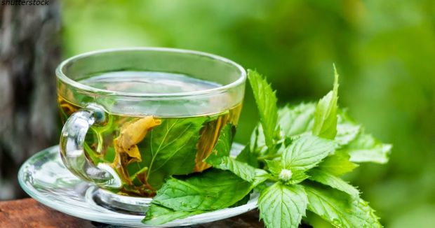 ĳ��� ����� ������ �'����� ���, ��� � ������� �����������: �� ������ 3-5 ����, � ��������� ���������, � ����� ���� ������������ � ��������, �����