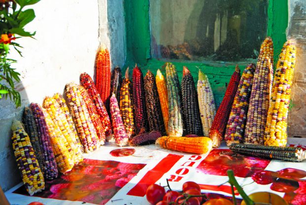 1872_kk.jpg (74.77 Kb)