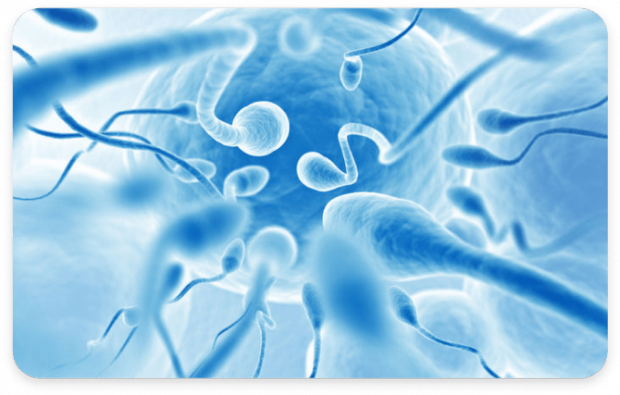 �������� ����� ������ ����� ��������� ������. ���� ������ ���������, ��������� �� �������� �������, �� ������ �������� �� ��������� �����������