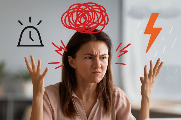        ,    .    ,    ,    , 